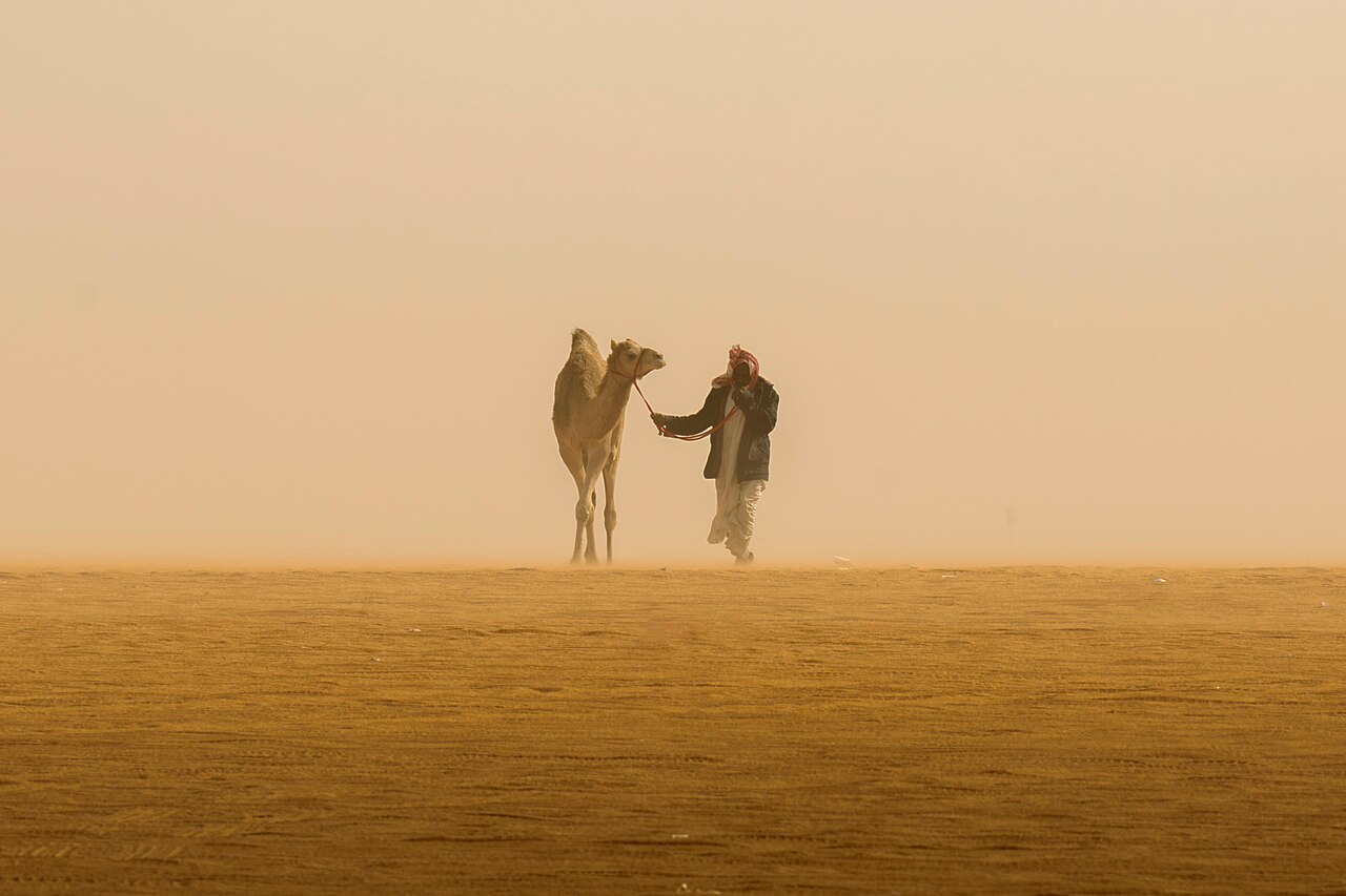 صورة جانبية يمين